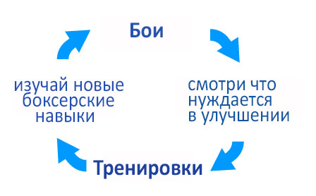 цикл боев и тренировок